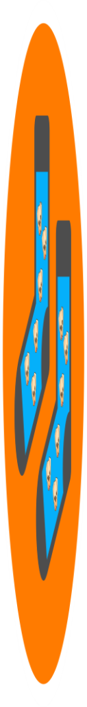 6 Pet