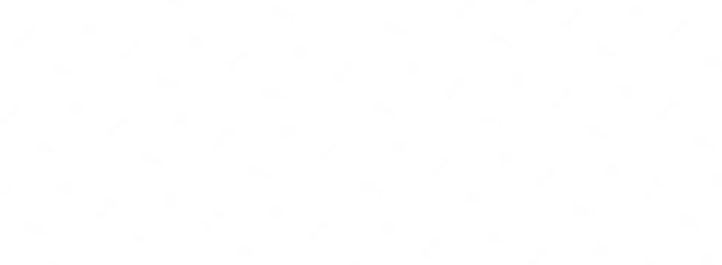 6 Pet