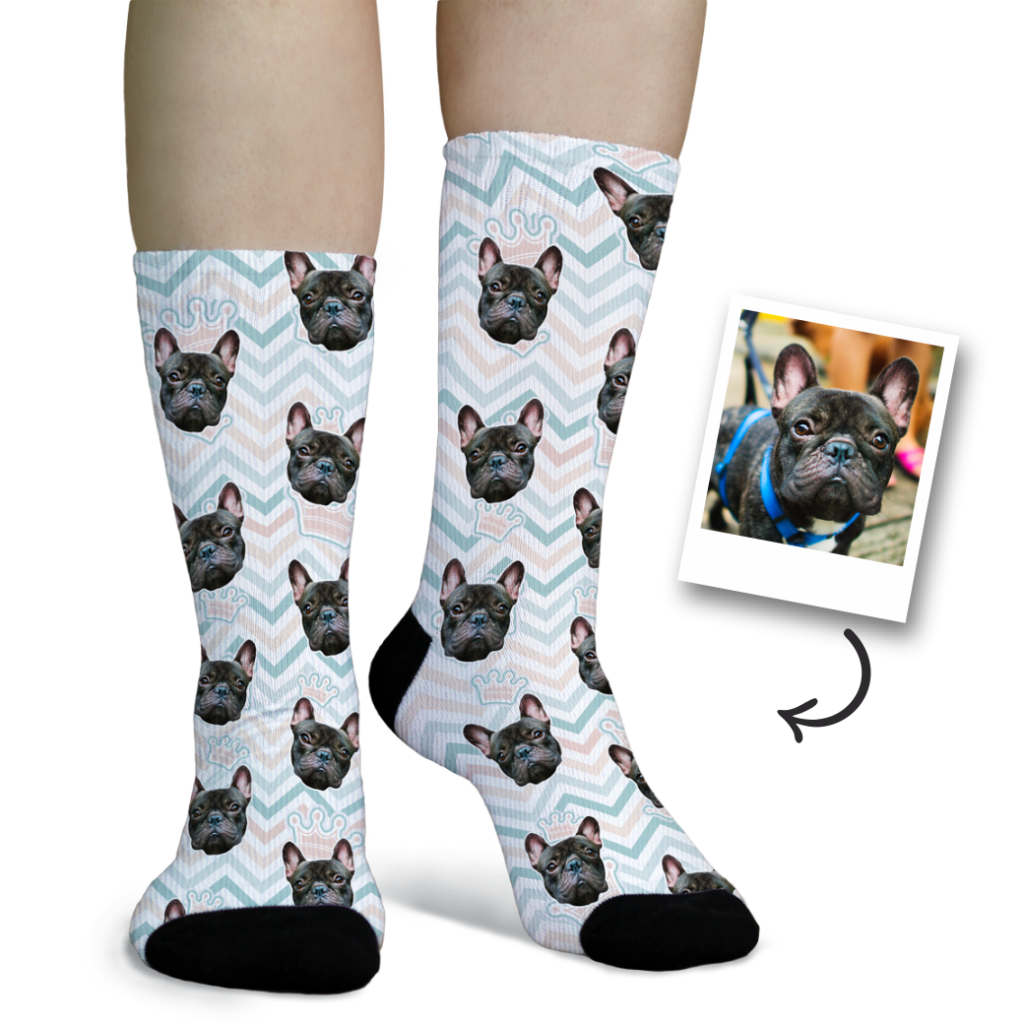 6 Pet